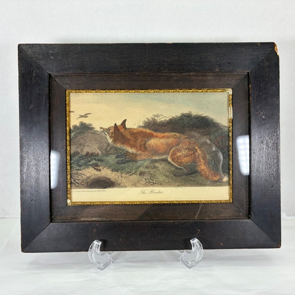 Antique Landseer The Poacher Fox Lithograph Framed Wildlife Art 12.5x10
